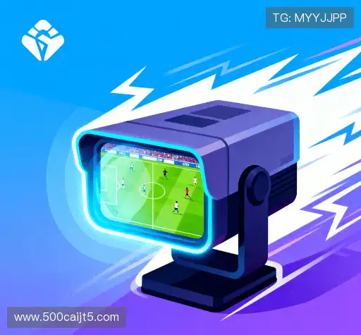 我们的市场领导力